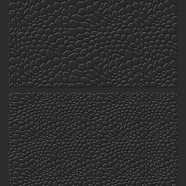 EB_019