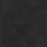 EB_241