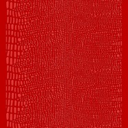 EB_717