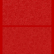 EB_796