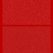 EB_007