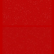 EB_677